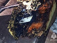 Семья чудом избежала трагедия после взрыва пауэрбанка в квартире