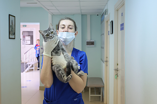Жители поселения Киевский смогут вакцинировать животных от бешенства