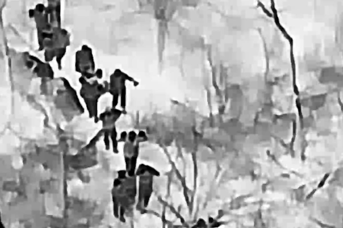 Отряд бойцов ВСУ сдался в Димитрове