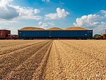 Экспорт донского зерна рухнул, эксперты назвали шесть причин катастрофы