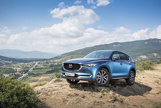 Автомобильный бум не прошел: ввоз машин физлицами в январе вырос на 55%