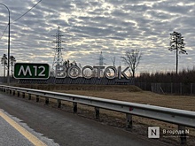 Автотуристов в Нижегородской области стало больше на 20%