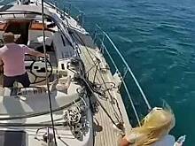 Моряки попытались спастись от китов-убийц с помощью уксуса