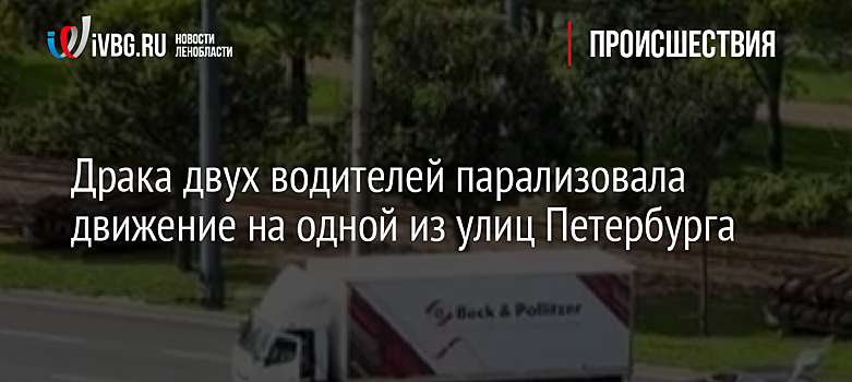 Драка двух водителей парализовала движение на одной из улиц Петербурга