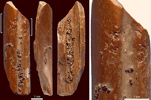 В Китае найдены артефакты возрастом 115 тысяч лет