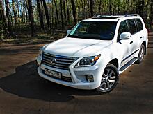 «Когда «Лексус», мозг отключается»: фото с парковки набирает популярность