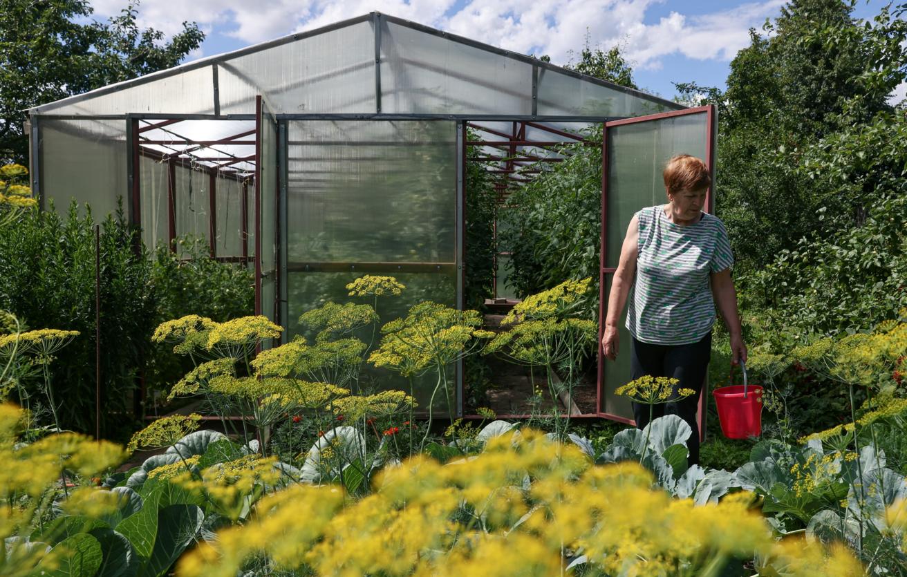 Депутат Гаврилов прокомментировал поправки в закон о садоводстве