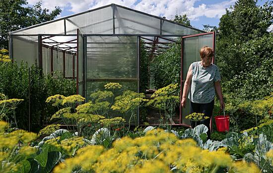 Депутат Гаврилов прокомментировал поправки в закон о садоводстве