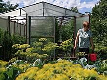 Депутат Гаврилов прокомментировал поправки в закон о садоводстве