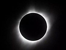 Ученые выяснили, как животные реагируют на полное солнечное затмение