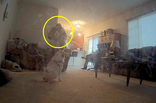 В США камера наблюдения сделала фото призрака
