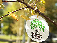 Более 100 кустарников высадили в Таганском районе в рамках акции «Миллион деревьев»