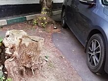 Как совершенно неожиданно водителя могут оштрафовать на 5000 рублей?