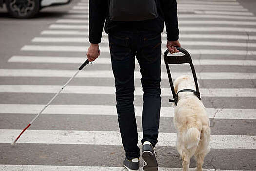 Слепого блогера Васкевича забыли сотрудники аэропорта Ижевска