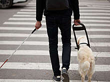 Слепого блогера Васкевича забыли сотрудники аэропорта Ижевска