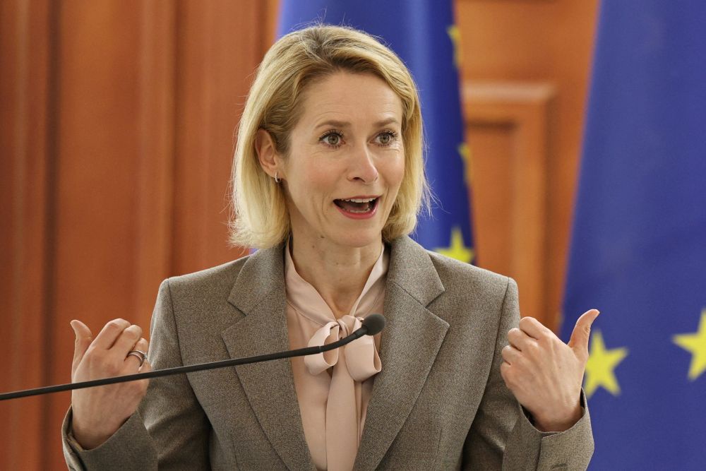 Депутат Зоннеборн раскрыл, как в Европарламенте втайне называют Каллас
