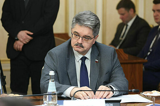 Сенатор Широков назвал стратегическую задачу России в сфере энергетики