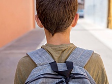 Власти Кургана опровергли слухи об обыске учеников при входе в школу