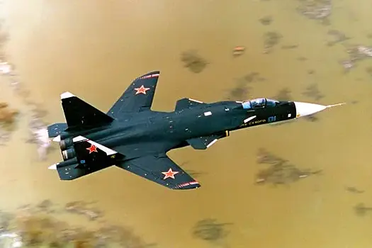 В России создают беспилотники на основе истребителя Су-47 "Беркут"