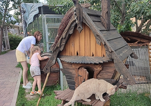 Белоснежный кенгуру, величественный леопард и цепкий страус: адреса зоопарков и питомников Тюмени