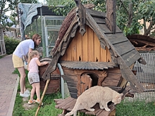 Белоснежный кенгуру, величественный леопард и цепкий страус: адреса зоопарков и питомников Тюмени