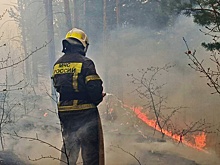 В Забайкалье более 350 госслужащих вызвались помочь в тушении лесных пожаров