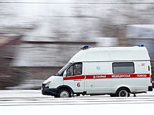 В Мурманской области водитель за рулем потерял сознание и разбился насмерть