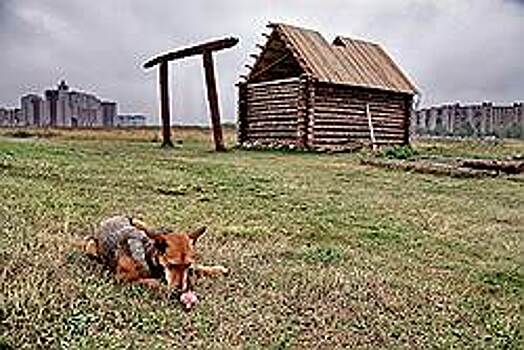 Ничейная экономика