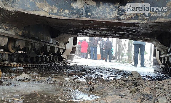 Петрозаводская история противостояния в Каменном бору повторяется в Вологде