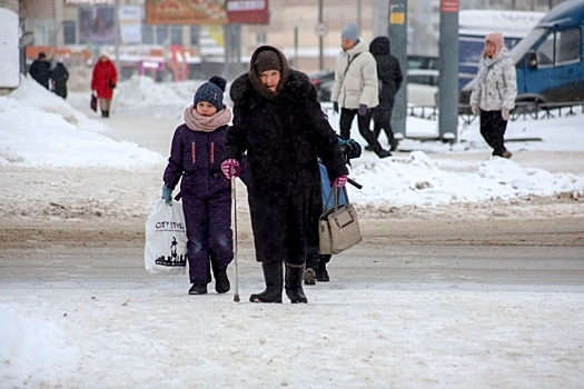 Россияне будут получать доплаты к пенсии за содержание правнуков