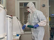 На Ямале из-за вахтовиков резко выросло количество случаев COVID-19