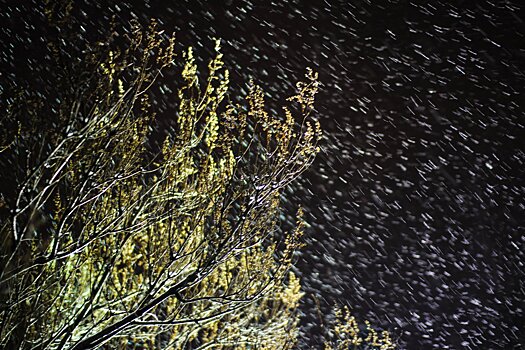 Непогода оставила 80 тысяч жителей Свердловской области без электроснабжения