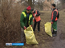 В Калининграде появились коммунальные отряды особой назначения