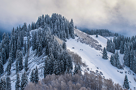 Дикие условия, заледеневшие водопады и мороз: зачем туристам ехать на зимний Алтай