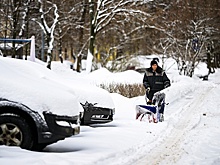 Эксперт Трушкова рассказала, как не позволить авто сгнить от зимних реагентов