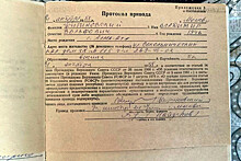 Россиянин раздобыл милицейский протокол на Жириновского и решил навариться