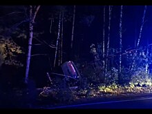 6‑летняя дочь осталась без отца из-за ДТП с лосем в Нижегородской области