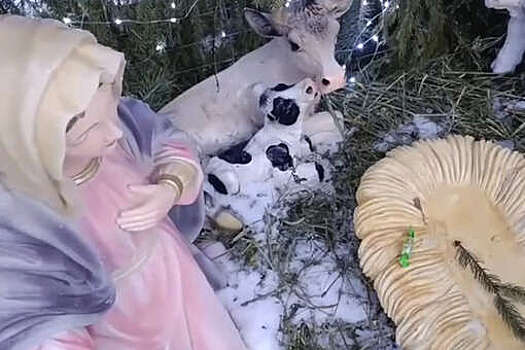 В Липецкой области с территории храма украли фигурку Иисуса из вертепа