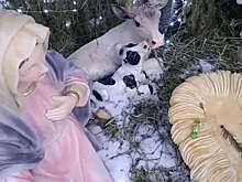 В Липецкой области с территории храма украли фигурку Иисуса из вертепа