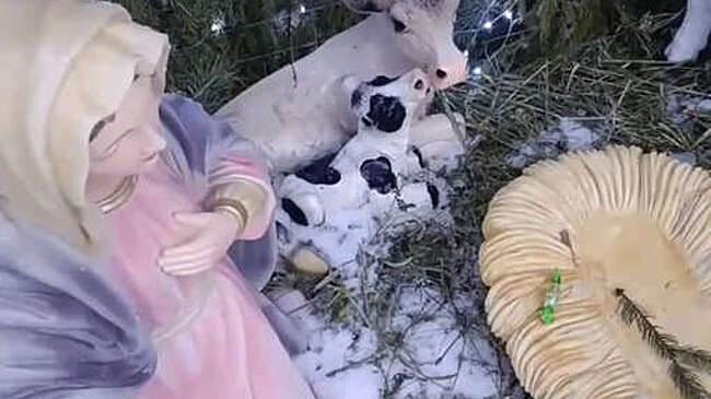 В Липецкой области с территории храма украли фигурку Иисуса из вертепа