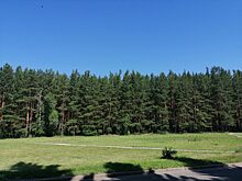 76-летний житель Красноярского края потерялся в лесу в Иланском районе