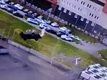 Омский автолюбитель сделал двойное сальто на выезде с парковки. Видео