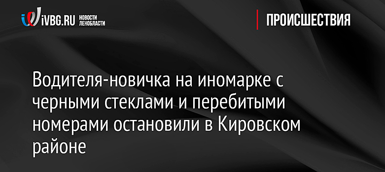 Водителя-новичка на иномарке с черными стеклами и перебитыми номерами остановили в Кировском районе