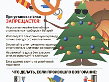 «Аптекарский огород» проведет для школьников интерактивные занятия о хвойных деревьях