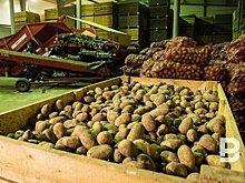 В Татарстане создали рабочую группу по контролю цен на "борщевой набор"