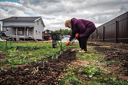 Когда могут отобрать земельный участок: пояснение юриста