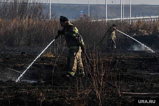 Эколог Куксин: торфяные пожары на Урале рискуют пережить зиму