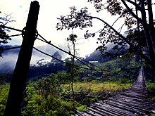 «Полупрозрачного человека» сняла камера в лесу