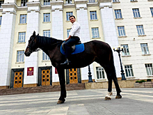 Во имя экологии депутат прискакал на работу на коне. А мог бы просто на велике