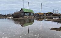 Названа причина протечки дамбы в Кургане